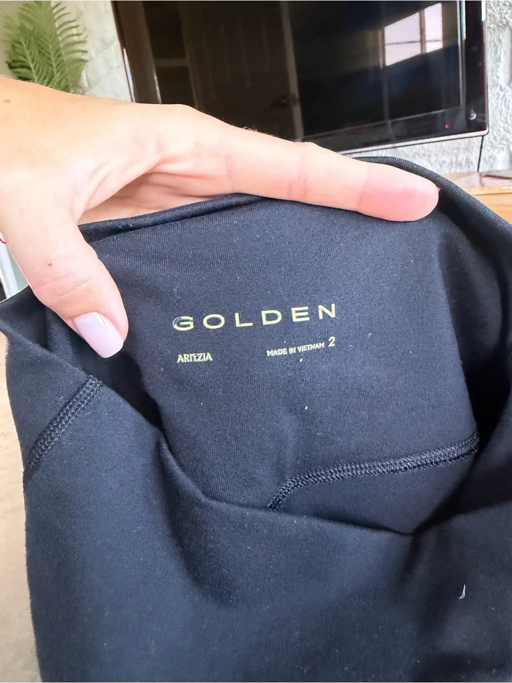 Aritzia Golden LIFE Cheeky Hi-Rise 5